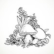 Decorative graphics mushrooms and flowers. Black and white. Colo