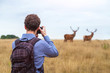 photographer taking photo of wildlife, man with camera and two deers in the nature