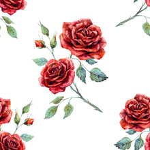 Watercolor Rose Pattern