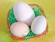 Collection of eggs, large white goose egg, light green duck egg, light brown chicken egg, brown basket with grass, yellow background.