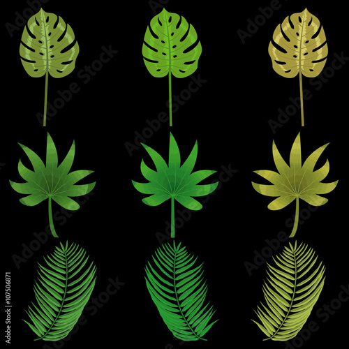 Multicolored Tropical Leaves On A Black Background Can Be Used To