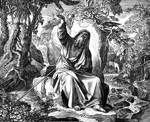 Fotografía Elijah Fed by Ravens 1) Sacred-biblical history of the old and New Testament