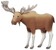 Cartoon animal - moose - isolated - illustration for children