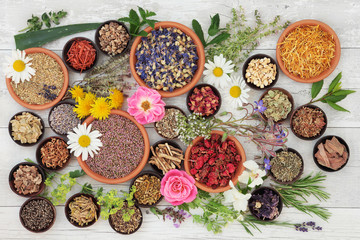 Poster - Medicinal Herbs and Flowers