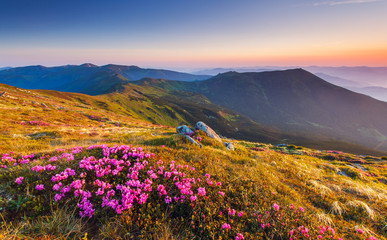 Wall Mural - mountains landscape