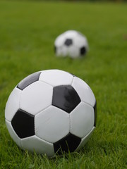 Wall Mural - Soccer ball on green field