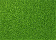 © mirexon - Green grass. natural background texture. fresh spring green grass