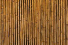 Dry Bamboo Pattern Background