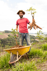 Happy farmer holding his produce of cassava on a sunny day