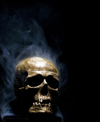 Wall Mural - front of real skull in abstract smoke