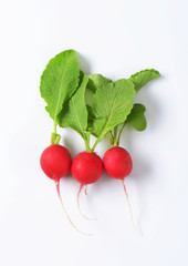 Canvas Print - Fresh red radishes