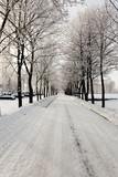 Fototapeta Miasta - Snow covered road 
