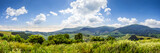 Fototapeta Fototapety góry  - meadow with flowers in mountains