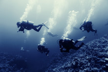 Divers Underwater The Sea