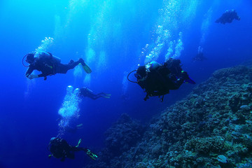 Sticker - unusual photo diver underwater background