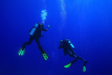 Fototapeta Do akwarium - group of divers passing exams open water