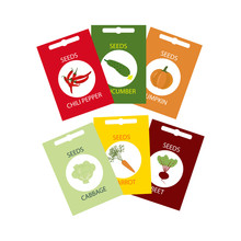 Vegetable Seeds Icon