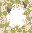 Vector label for wine in vintage style. Vines and bunches of grapes on a background frame for text.