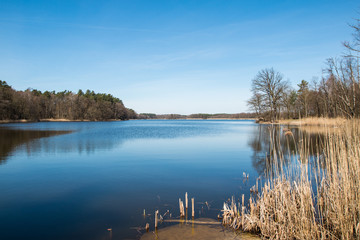 Lake Postne autumn season - Poland Lubuskie