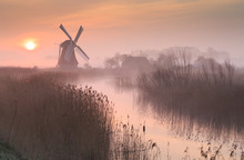 Foggy, Pink Sunrise In Holland With A Traditional Windmill In The Wetlands.