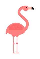 Wall Mural - Cool pink decorative flat lovely and beauty flamingo exotic zoo animal vector illustration.