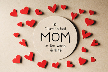 Canvas Print - I have the best Mom in the world message