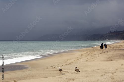 Get Bad pacific beach HD