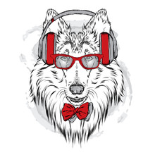 Pedigree Dogs Painted By Hand. Collie Wearing Headphones And Sunglasses. Vector Illustration.