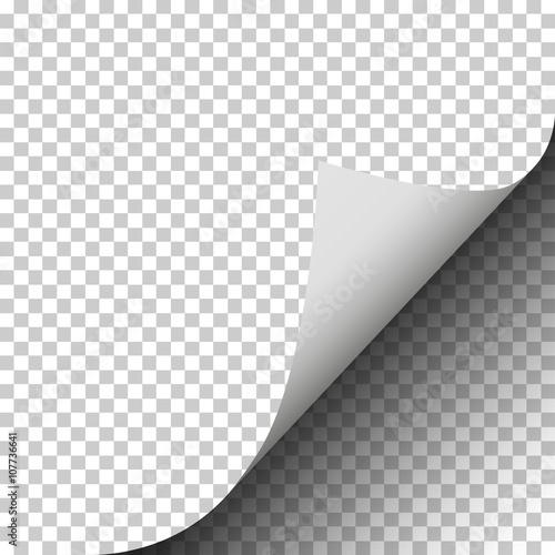 Cuadros en Lienzo Page curl of a blank sheet of paper on transparent background