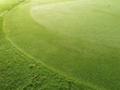 Green golf course background