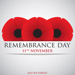 Remembrance Day card in vector format.