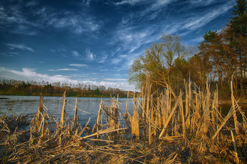 Wall Mural - Sunny day on a calm river in summer