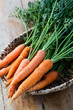 fresh carrots bunch