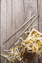 Canvas Print - Bean sprouts