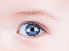 Blue Child Closeup Eyes