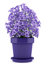 Purple Flowers In Pot Isolated On White Background. 3d Illustrat