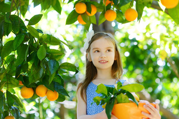 Adorable little girl picking fresh ripe oranges in sunny orange tree garden