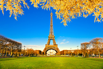 Wall Mural - Eiffel tower at sunrise, Paris.