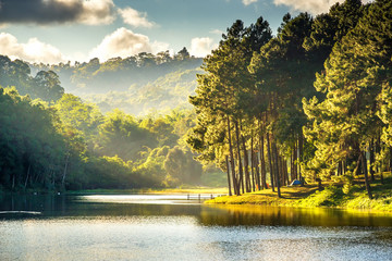Wall Mural - beautiful landscape viwe reflection of pine tree in a lake