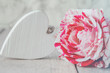 Rose, pink, weiß, romantisch, mit Herz - Rose, pink, white, romantic, with heart