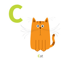 Letter C Cat Orange English Abc With Animals. Zoo Alphabet. Education Cards For Kids Isolated White Background Flat Design