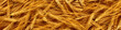 Yellow ears of wheat in a panoramic image