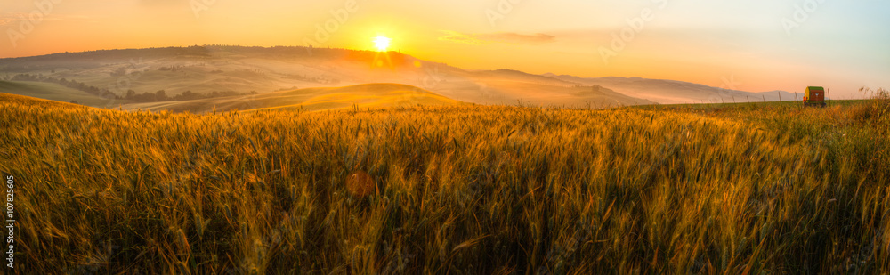 Tuscany wheat field panorama at sunrise - obrazy, fototapety, plakaty 