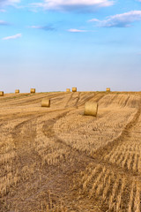 Canvas Print - Hay bales on the field after harvest