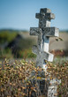 Crosses on an old abandoned cemetery