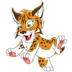 cute and happy smiling wildcat lynx (bobcat), isolated on a white background