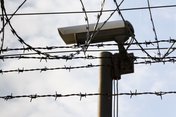 Wall Mural - Security camera behind barbed wire fence stretched around prison walls