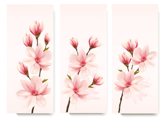 Poster - Set of nature flower magnolia banners. Vector.