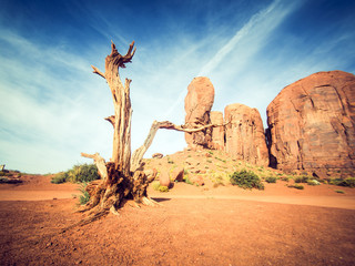 Wall Mural - monument valley, utah, usa