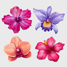 Watercolor Tropical Flowers. Vector Illustration.
